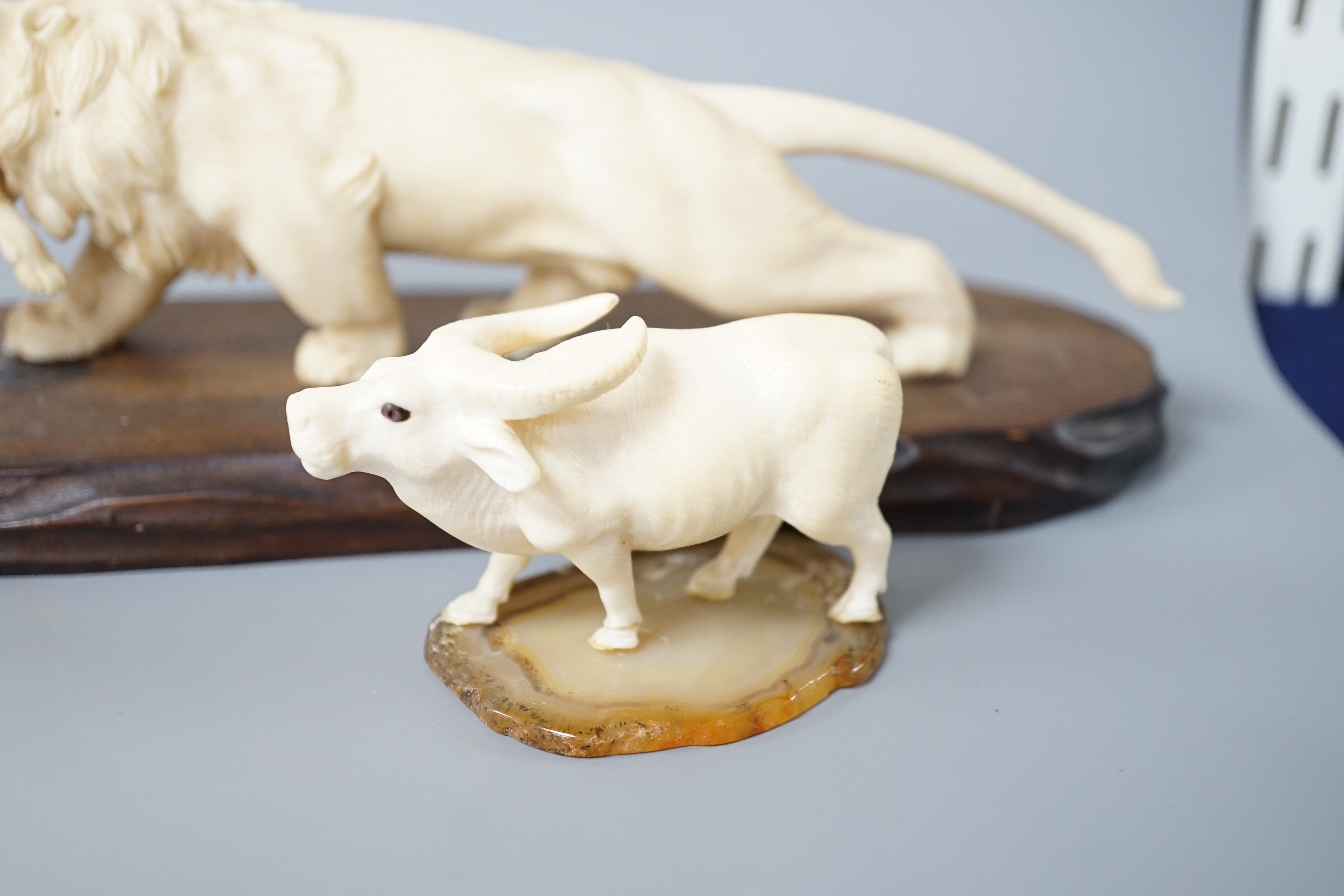 A Japanese ivory group of a lion grasping a hare in its mouth, wood stand, Meiji period, together with a similar figure of a water buffalo (2) largest 22cm